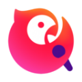 谷歌浏览器最新手机版
