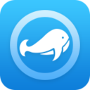 wingy下载 IOS