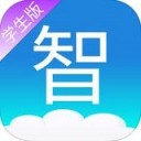 手机 p v n