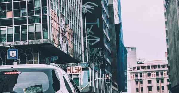 神兽是什么意思